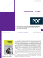La Piedra de La Cordura: Historias Sobre Enfermedades Neuropsiquiatricas Daniel Flichtentrei