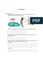 LKPD Protista Mirip Hewan