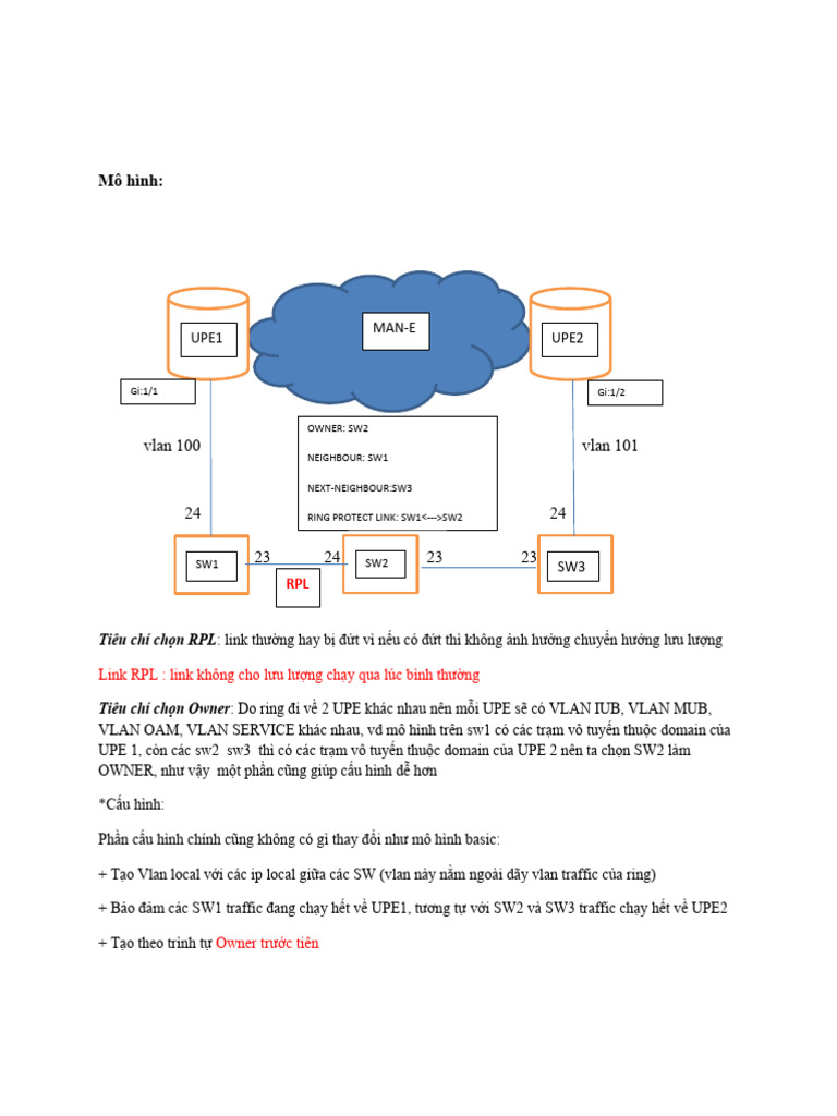 Ring ERPS | PDF