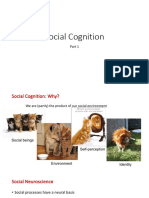 B3 - Social Cognition 2023