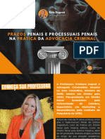 E BOOK Prazos Penais e Processuais Penais Na Prática Da Advocacia Criminal IDPB Cris Dupret - Compressed