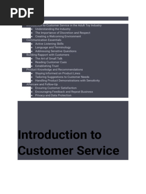 Customer Service in the Adult Toy Industry