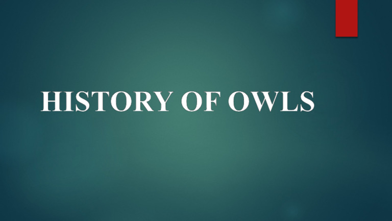 The Fascinating Origin Story Of The Phrase Owls Knees - uovzwe9