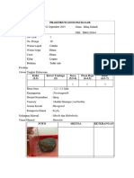 LKP Ggeodas Acara 1 Izhaq Suhardi - Salin