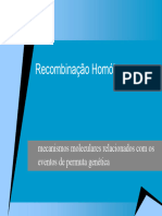 Recombinacao Homologa