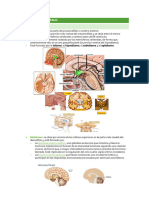 Tema 4. Psicobio II.