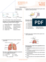 TEST 12 Solunum Sistemi 1