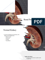 Renal Pathology EAC