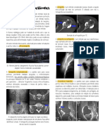 Aula 7 - Radiologia Osteoarticular