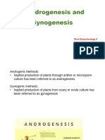 8 Andro Gynogenesis VII