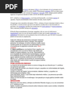 Vibrio vulnificus es un bacilo del género Vibrio