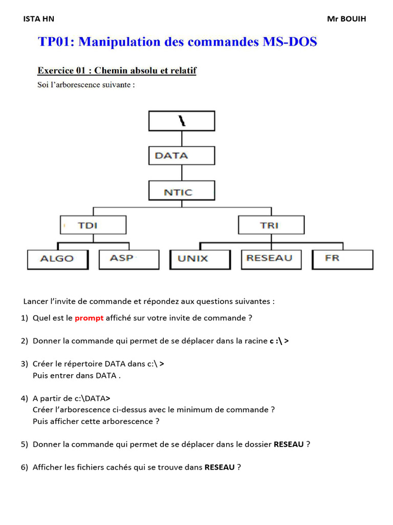 Commandes MS-DOS et Exercices Pratiques | PDF | Répertoire ...