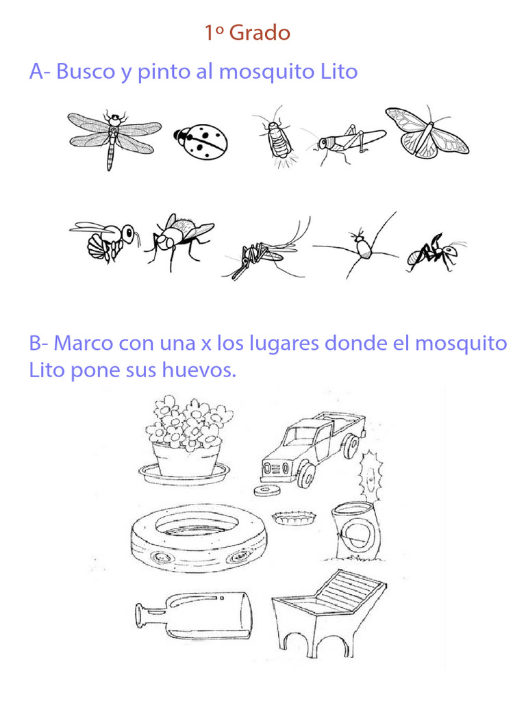 Actividad mosquito Lito | PDF