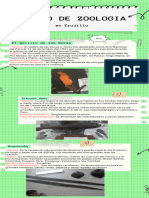 Infografía de Proceso Recortes de Papel Notas Verde