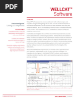 WellCat Software Overview and Features | PDF | Casing (Borehole ...