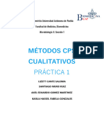 Práctica 1.métodos CPS Cualitativos