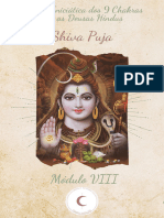 Módulo VIII - Shiva Puja