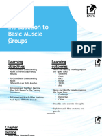 E102 Unit 02 Introduction To Basic Muscle Groups Part V2