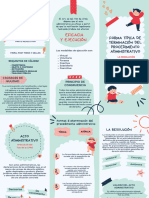 Triptico Acto Administrativo Típico