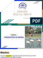 Migration in Birds