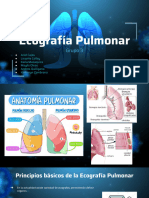 Ecografia Pulmonar