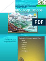 Ciclos Biogeoquimicos