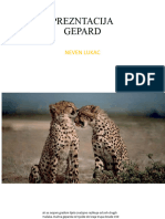 Prezentacija Gepard