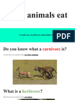 VICTORIA BLANQUER AUÑÓN - What Animals Eat