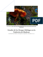 Estudio de Los Hongos Xilófagos en La Pudrición de Maderas