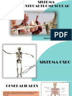 Sistema Osteoartromuscular