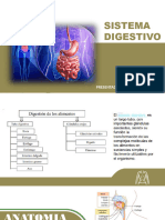 Sistema Digestivo