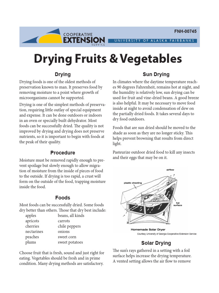 FNH00745 Drying Fruits and Vegetables PDF Dried Fruit Vegetables
