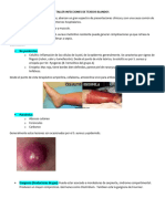 Taller Infecciones de Tejidos Blandos