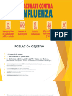Presentación Campaña Influenza