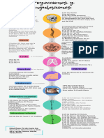 Infografía Proyecciones y Angulaciones-1