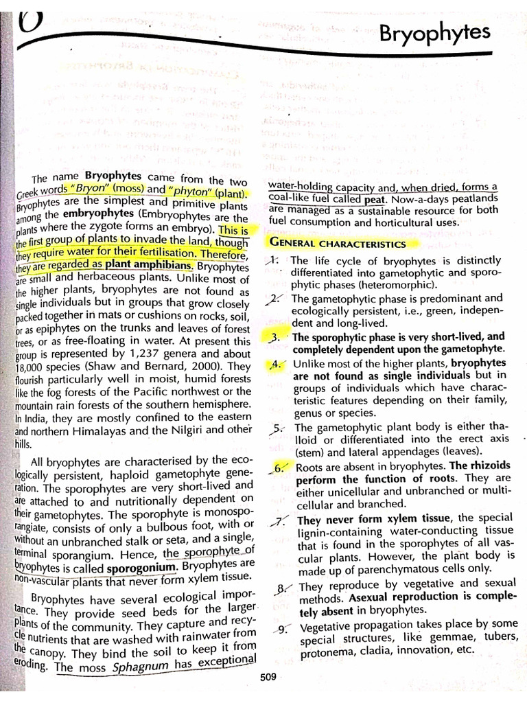 BRYOPHYTES | PDF