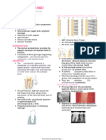 Periodontal Ligament