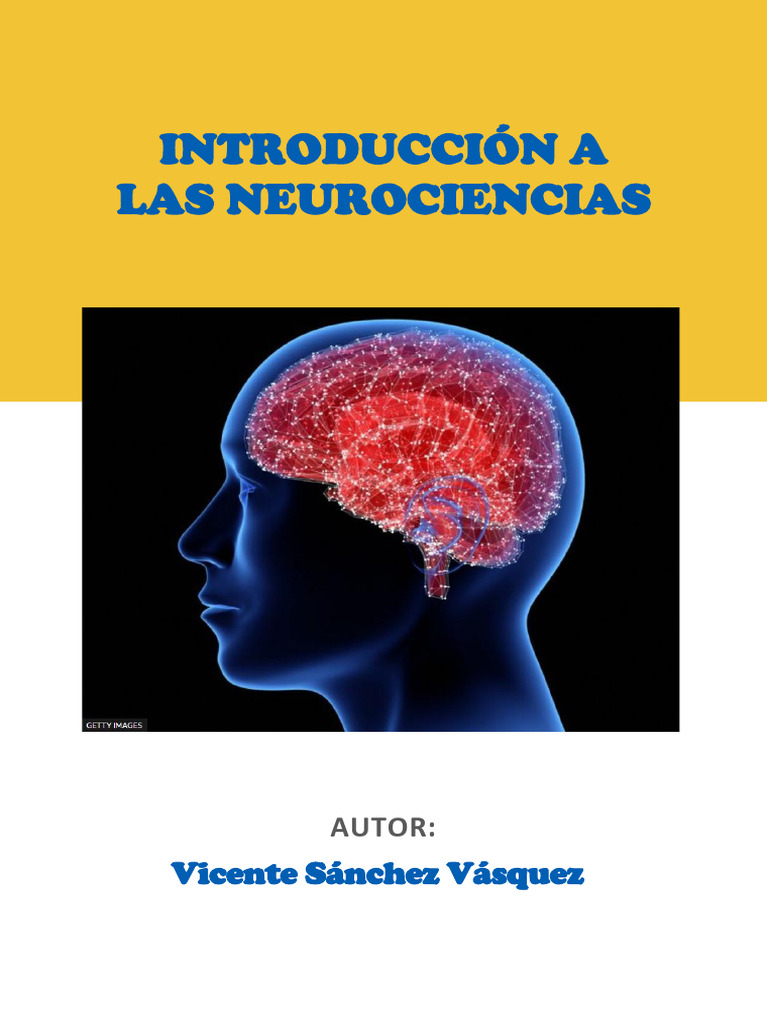 Introducción a las Neurociencias | PDF | Neurona | Sistema nervioso