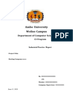 Industrial Practice Report Format
