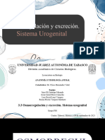 EXPOSICIÓN FINAL EQUIPO A.F.A Unidad 3. Osmorregulación, Excreción y Sistema Urogenital