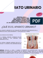 Presentacion Salud Del Cuerpo Humano Ilustracion Rosa