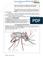 Ciencia y Ambiente El Dengue