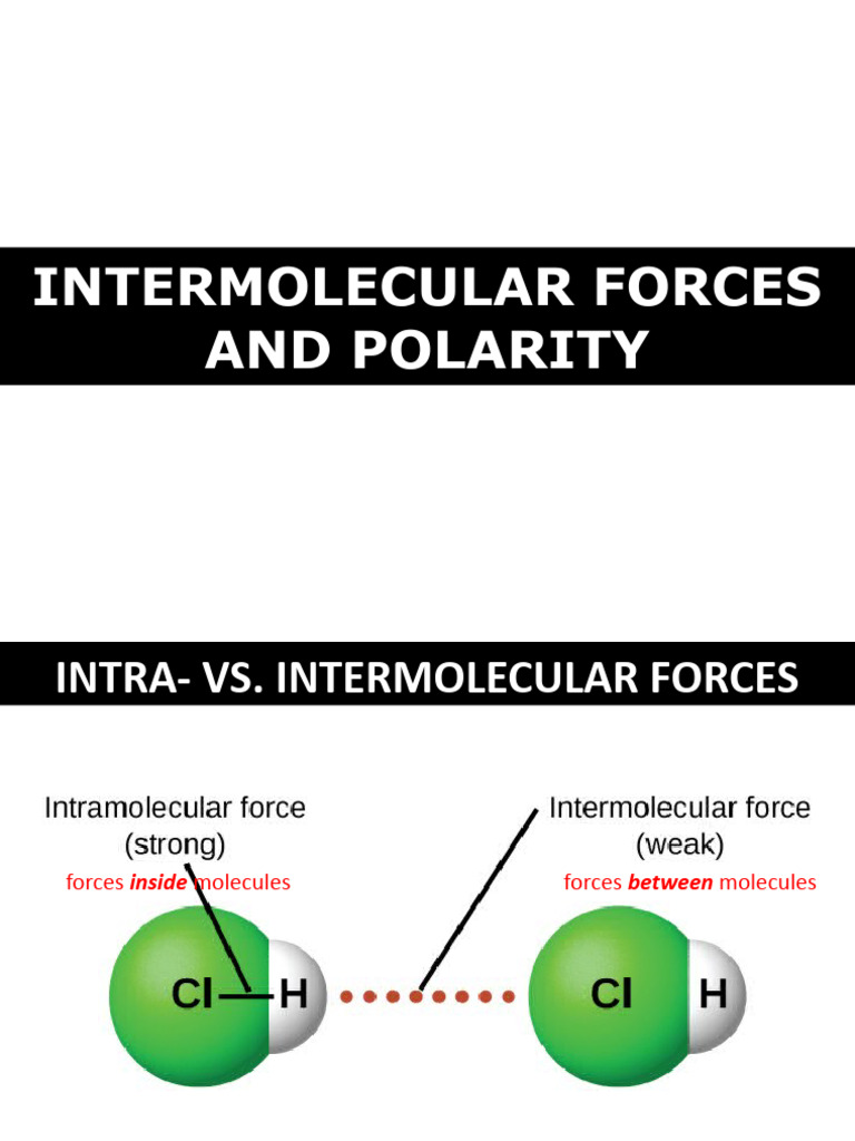 Intermolecular Forces and Solubility PDF Chemical Polarity Intermolecular Force