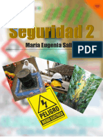 Seguridad 2