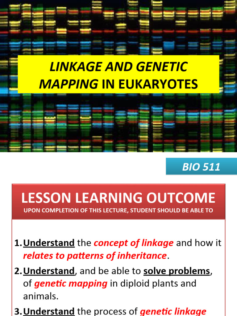Linkage and Mapping Eukaryotes PDF Meiosis Linkage