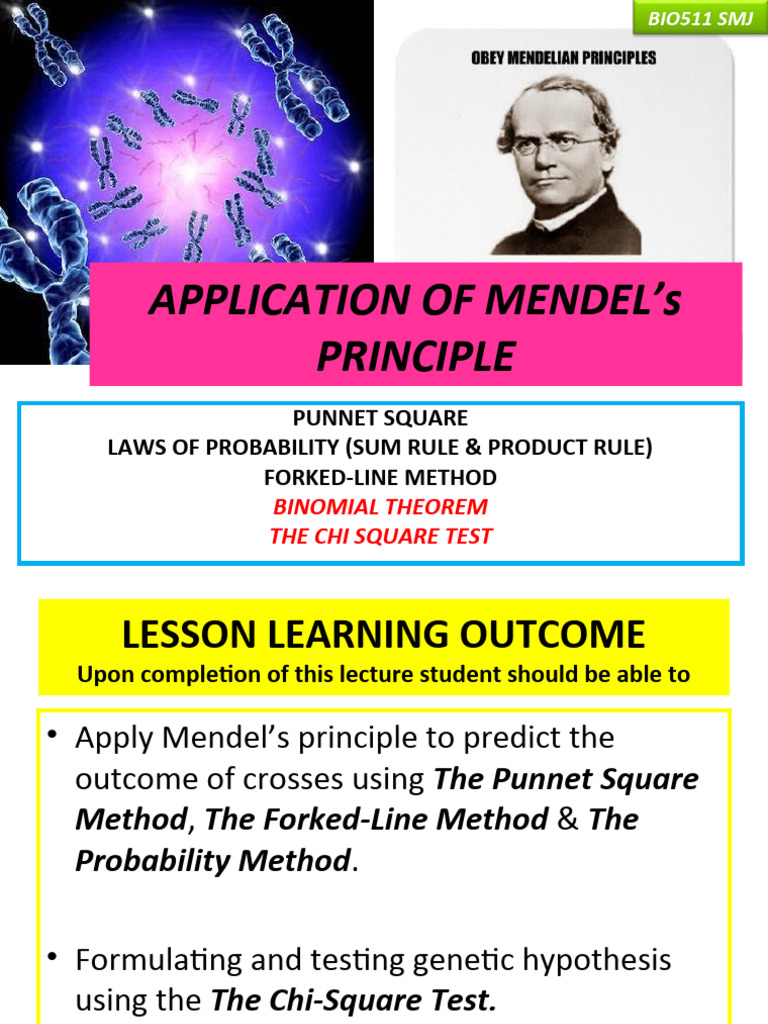 Applying Mendel's Principles in Genetics | PDF | Chi Squared Test | Chi ...