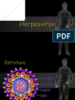 Vírus Herpes - Estácio