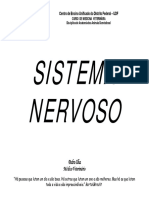 Sistema Nervoso 231017 160500