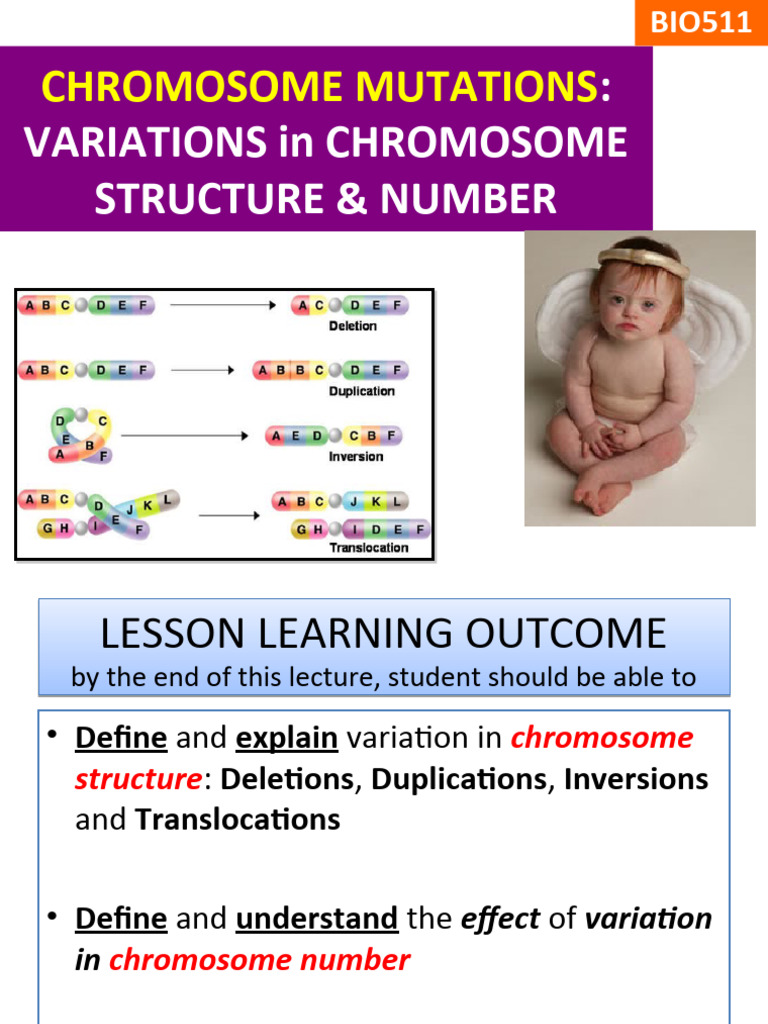 Chromosome Mutations: Structure & Number | PDF | Ploidy | Zygosity