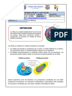 GUIA No. 1 CIENCIAS NATURALES